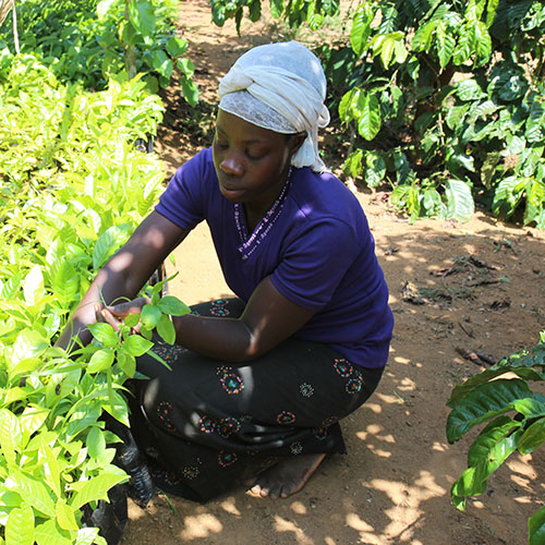 Anna’s Resilience: Supporting healthy people and a healthy planet through Women-Led Community Resilience